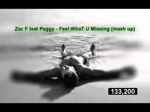 Zac F feat Peggy - Feel WhaT U Missing (mash up)