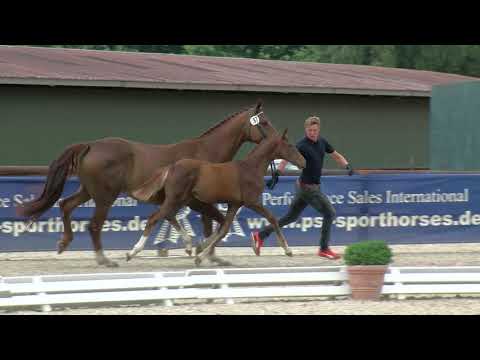 Kessen, Sezuan´s Donnerhall-Fidertanz-Brentano II