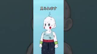 餃子、チャオズの髪の毛　#ドラゴンボール #ドラゴンボールスパーキングゼロ