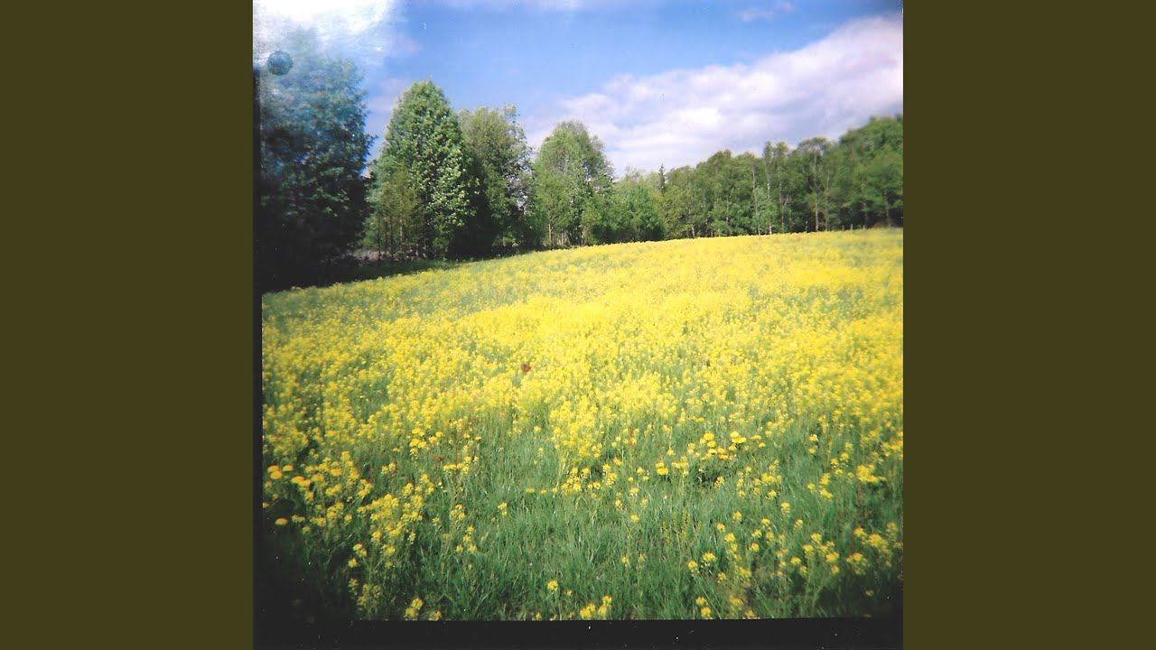 Why May I Not Go Out And Climb The Trees? (Live)