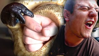PAINFUL PYTHON BITE!!! | BRIAN BARCZYK by Brian Barczyk