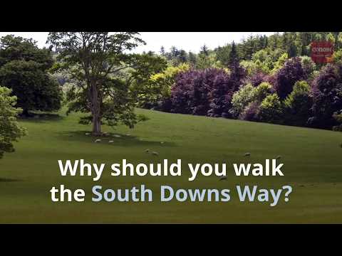 Why should you walk the South Downs Way?