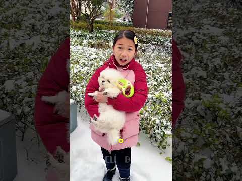 ❄️😳 Kedi Karın İçinde Kayboldu!