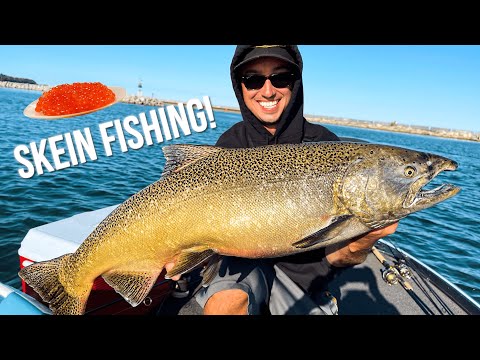FLOAT Fishing SKEIN For GIANT King Salmon On Lake Michigan! (2021)