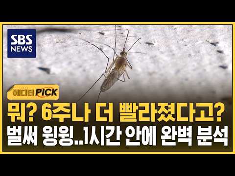 모기를 잡아서 병을 막는 똑똑한 기계가 나타났어요