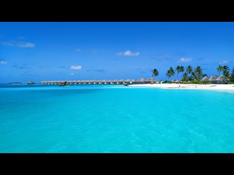 Videos del Sun Siyam Iru Veli 5★ en Dhaalu Atoll, MaldivasVer MásVerPrecios17CerrarConsulta por Whatsapp 🇦🇷BookingTripadvisorExpediaAgodaTravelocityOrbitzPricelineTripSkyscannerKayakHotelesDestiniaTrivagoLastminuteHotwireTuiWotif