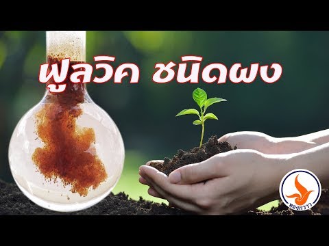 การรักษาขี้ผึ้ง Podmore ของโรคสะเก็ดเงิน การรักษา Cyclosporin ของโรคสะเก็ดเงิน