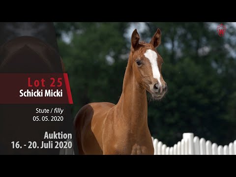 Westfälische Online Auktion 16. - 20. Juli: Lot 25 Schicki Micki Stute v. Selectric - Brentano II