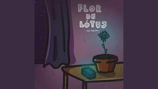 Flor de lótus Music Video
