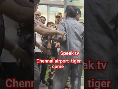 tiger come Chennai airport Rajini 