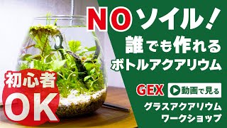 【アクアリウム】ソイルを使わない?初心者にもオススメなボトルアクアリウムの作り方!GEXグラスアクアリウムワークショップに参加してみた! #アクアリウム #ボトルアクアリウム
