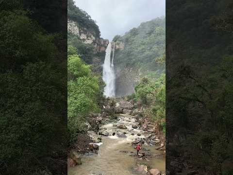 Cascata da usina -Santa Maria do Herval #afrobeats #riograndedosul #trilhasrs #cascata