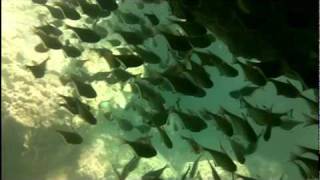 Download lagu CaveDiving mp3