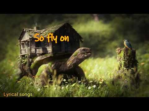 Coldplay | O Fly On lyrics | extended version