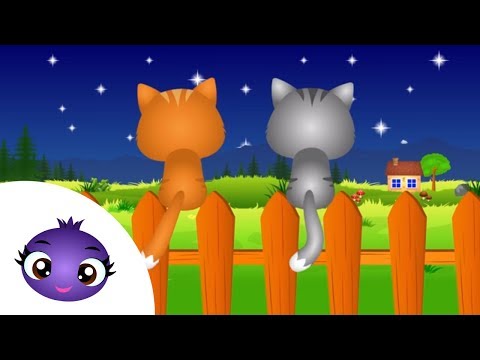 Uwielbiana przez dzieci kołysanka - aaa kotki dwa