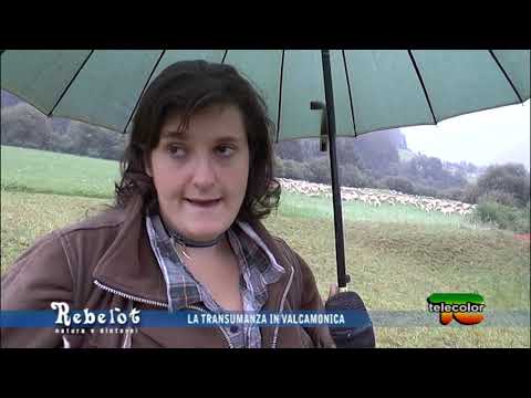 Rebelot: la transumanza in Valcamonica - 22.01.2020