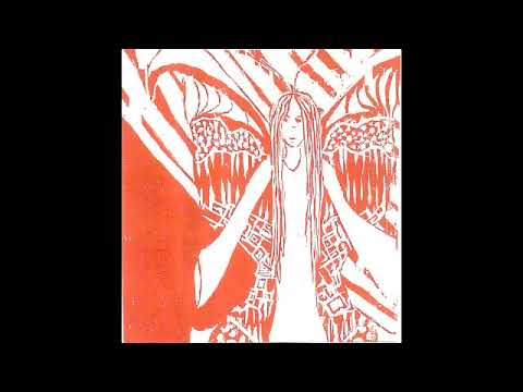 Wooden Wand & The Vanishing Voice - Book Of FM [Full Album]