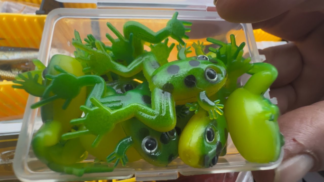 カエルルアー㊙🌟魚釣り初心者必見🌟