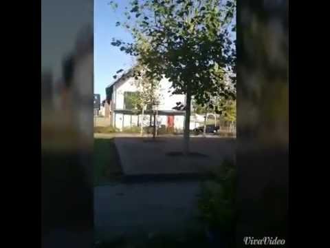 Una domenica bellissima