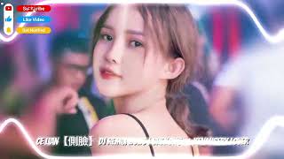 Download lagu Ce Lian【側臉】DJ Remix 2025 | SHEKONG ✘ KENMISERY LOVER mp3