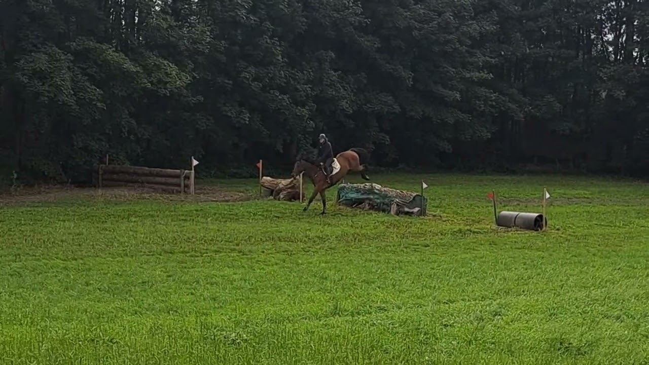 MC Raglan Road (HHS CORNET x SHANNONDALE SARCO) video 2