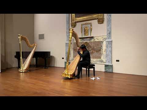 Suoni d'Arpa 2021 - Wan Zhong Ming