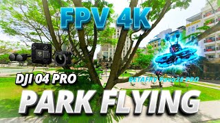 4k FPV Park Flying with BetaFPV Pavo20Pro in Công viên Hồ Nghinh - Da Nang, Vietnam🇻🇳