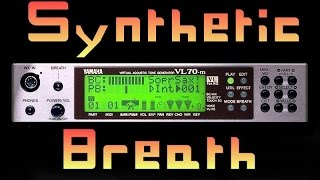 Video thumbnail for Synthetic Breath (Yamaha Vl-70m demo) by Dimitris Dermanis music
