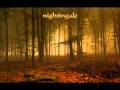 Nightingale - Scarred For Life 