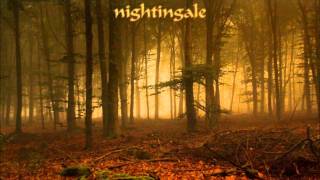 Nightingale - Scarred For Life