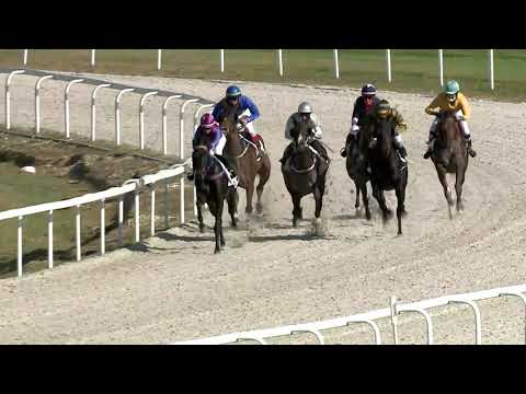 2020.10.04. 04. futam - KISFALUDY TÁRSASÁG HENDIKEP (II.o.) (szintetikus pálya)