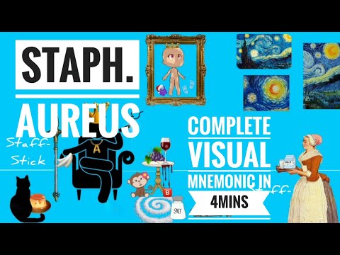 Staphylococcus Aureus quick REVIEW | Visual Mnemonic | Microbiology | 