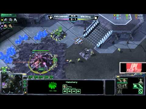 Leenock vs Sting - IPL Fight Club - Game 5