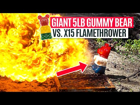 Giant 5lb Gummy Bear vs. X15 Flamethrower