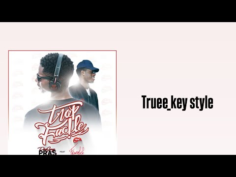 DJ Pras - Trop facile (feat. Franglish) (truee_key style)