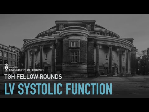 TGH APTE - LV Systolic Function, Marcus Salvatori