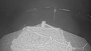 Florida · Brevard Florida Osprey Nest (AXIS P1455 · LE) live stream