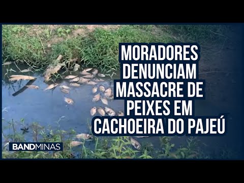 MORADORES DENUNCIAM MASSACRE DE PEIXES EM CACHOEIRA DO PAJEÚ | JORNAL BAND MINAS