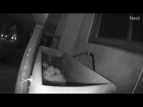 S 8 | 2020 Good  night kisses and tucked in for bed