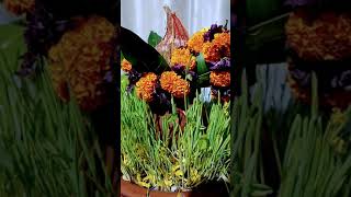 Download lagu 🙏🙏🌹 tune mujhe Bulaya sherawaliye 🌺🌺🌺❤️❤️ mp3