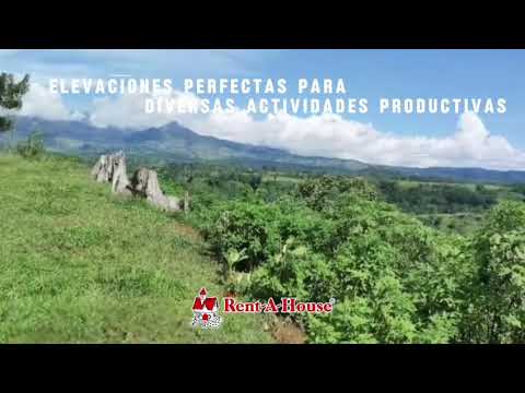 Imagen de Venta de Lotes y Terrenos en Santa teresita - Turrialba Santa Teresita - CARTAGO