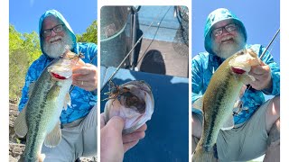 #finesse jig Lake Cumberland keepers after spawn