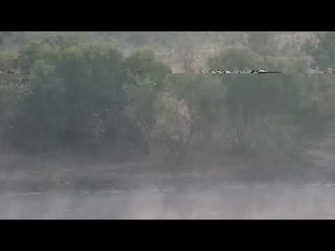 Djuma: Two Black-backed Jackals (brief and not good visual) - 06:25 - 06/25/2023