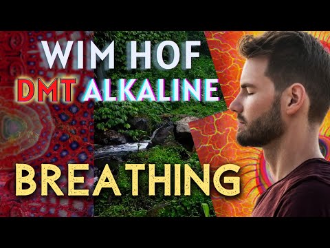 [POWERFUL] DMT Wim Hof Breathing - 40s Breathholds (3 Guided Rounds)