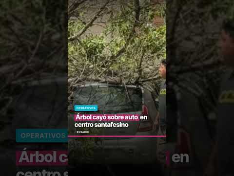 Árbol cayó sobre auto en centro santafesino