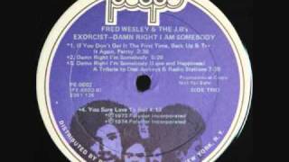 Fred Wesley and the JB&#39;s-Damn Right I&#39;m Somebody (Love and Happiness)