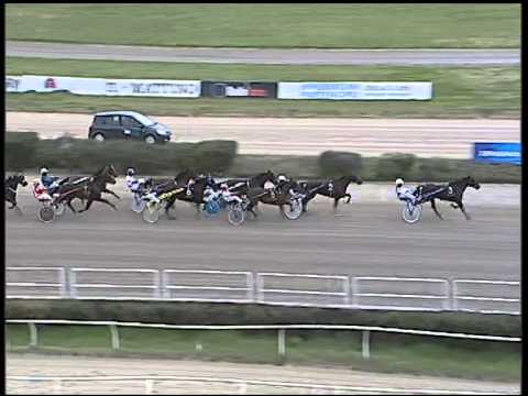 Trotto 29/01/2015 - 1° Corsa