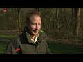 Steeds minder bomen gekapt in bossen Staatsbosbeheer