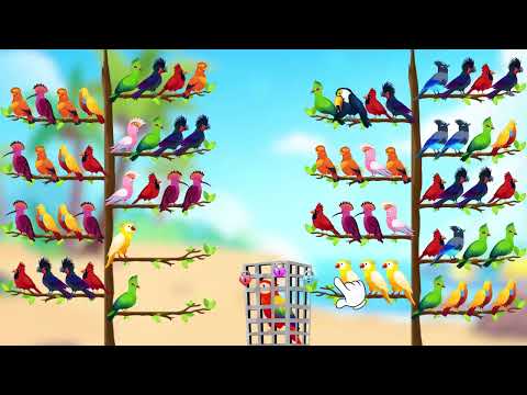 Color Bird Sort Puzzle