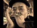 James Cotton-Baby Please